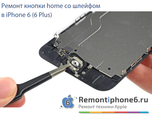 Ремонт кнопки home со шлейфом в iPhone 6 (6 Plus) в Москве
